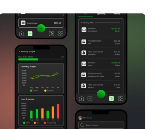 Finwise app screens showing monthly budget tracking and transaction history